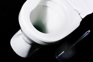 A Royal Flush -- Tips on Shopping for a Water Conserving Toilet
