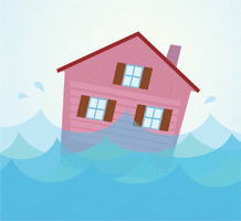 After the Flood: Cleaning Up