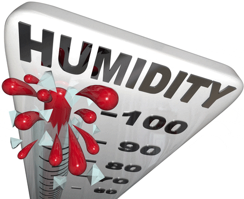 Use These Tips to Spot an Indoor Humidity Problem