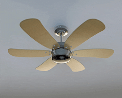 High Energy Bills? Ceiling Fans Can Help Lower Air Conditioning Costs