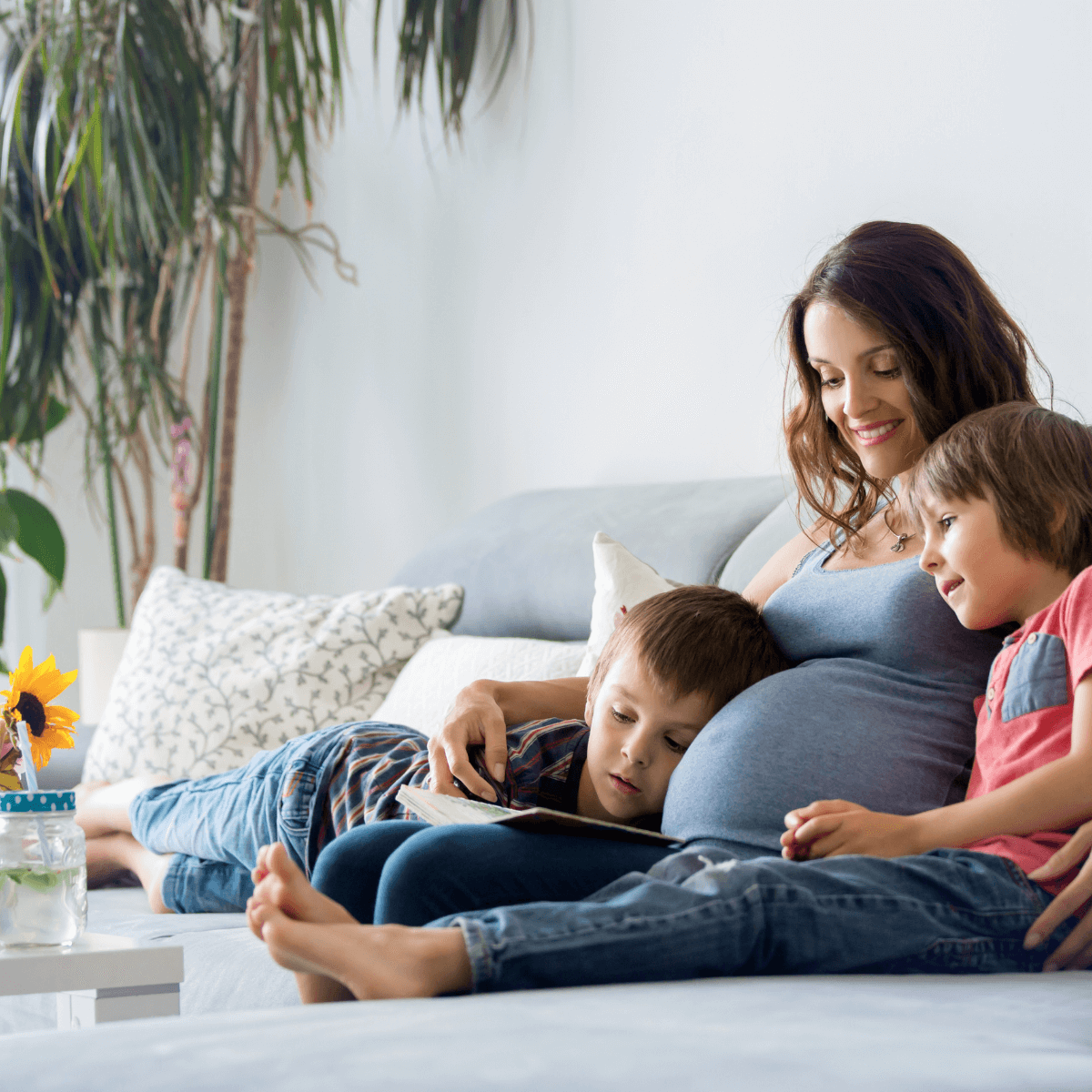 Find air quality solutions for your familiy