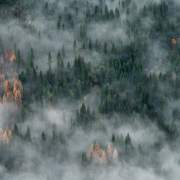 Alberta Forest Fires Affect Indoor Air Quality Calgary