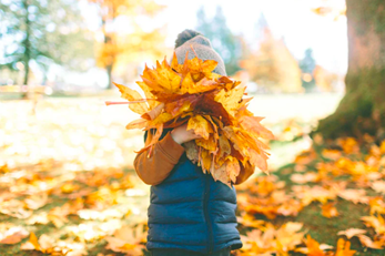 person outside holding dried leaves during the fall season
